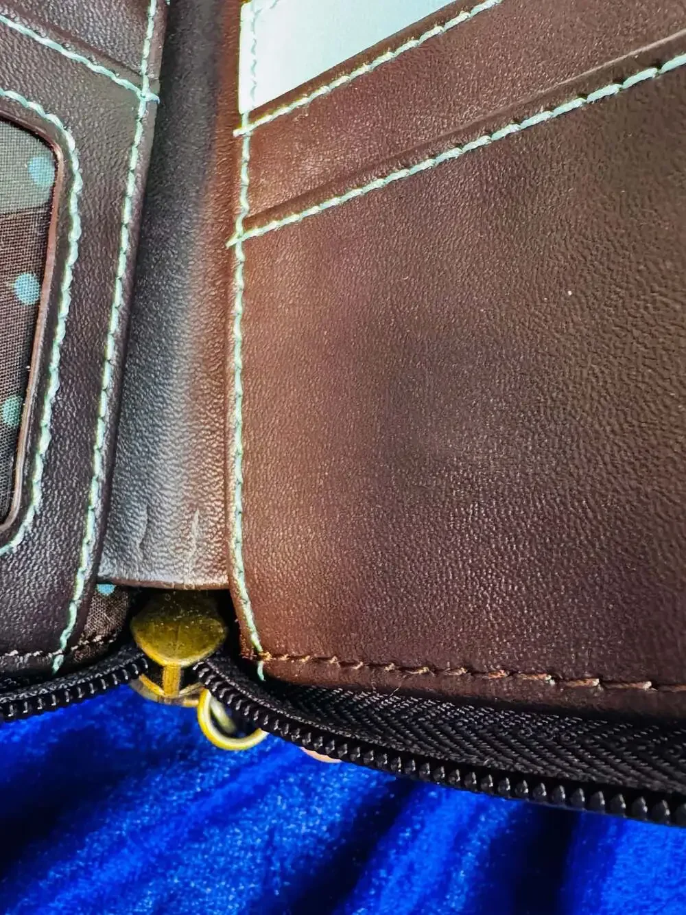 Chala - Picture 7 of 8